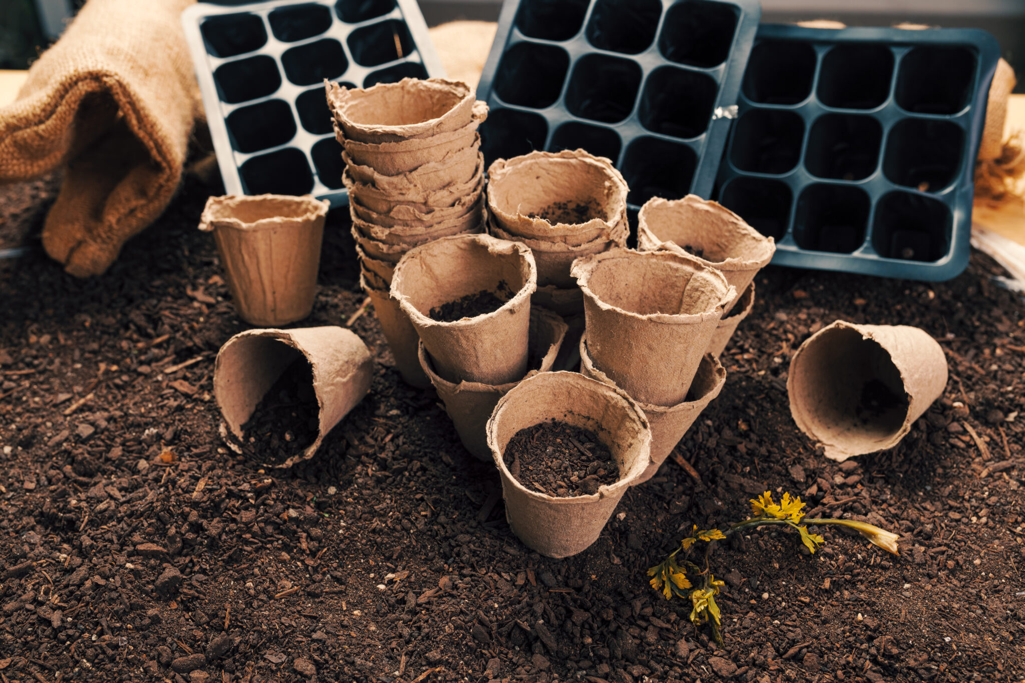 Horticulture