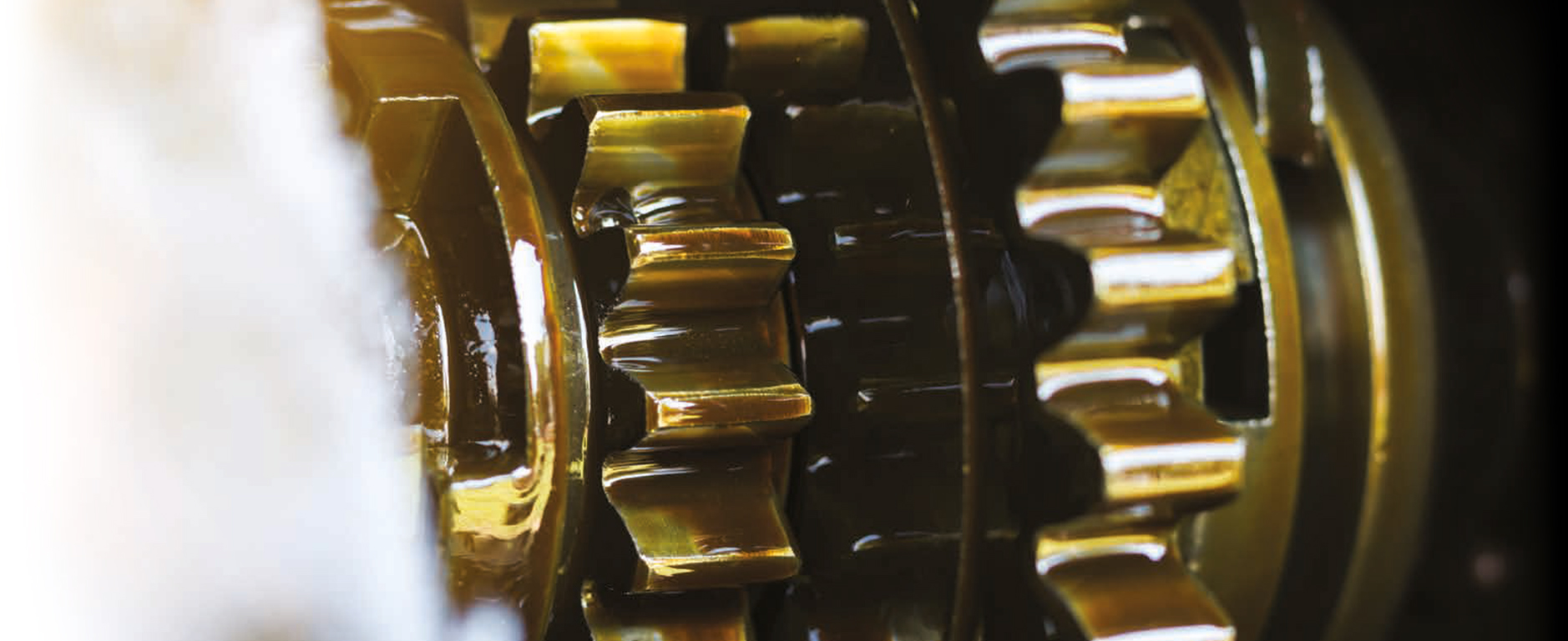 BIOMAX Gear Oil EAL | Van Meeuwen Lubrication